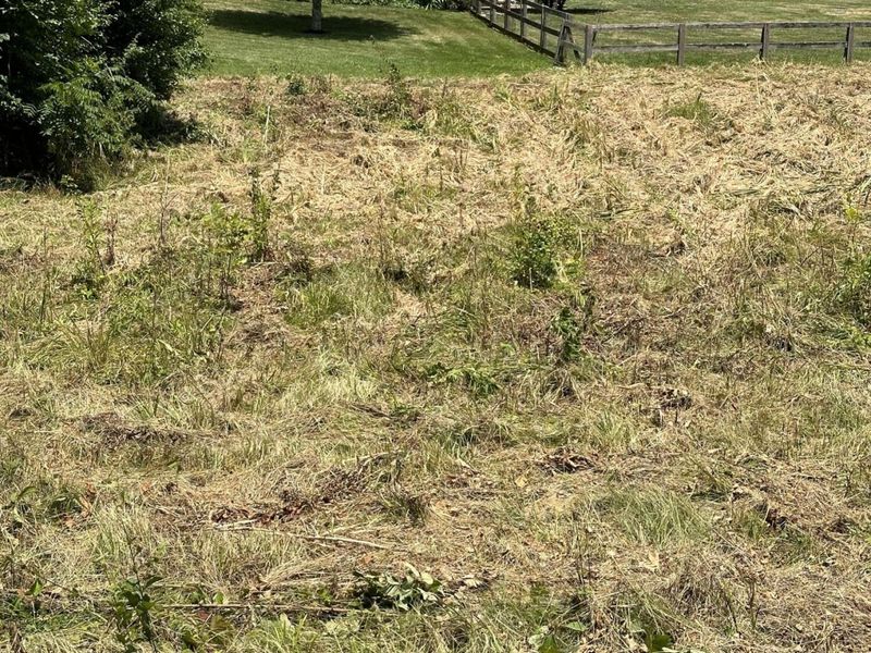 13800 Stablegate Drive, Walton, KY 41094 Photo 9