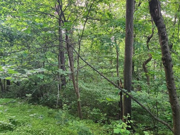 50 OAK RIDGE TRAIL, FAIRFIELD, PA 17320