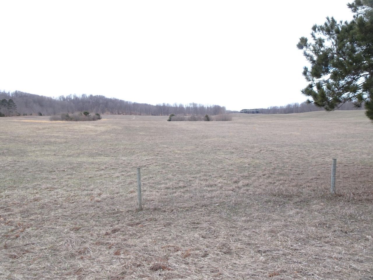 Chief ''i'' Road, Bear Lake, MI 49614 Main Photo