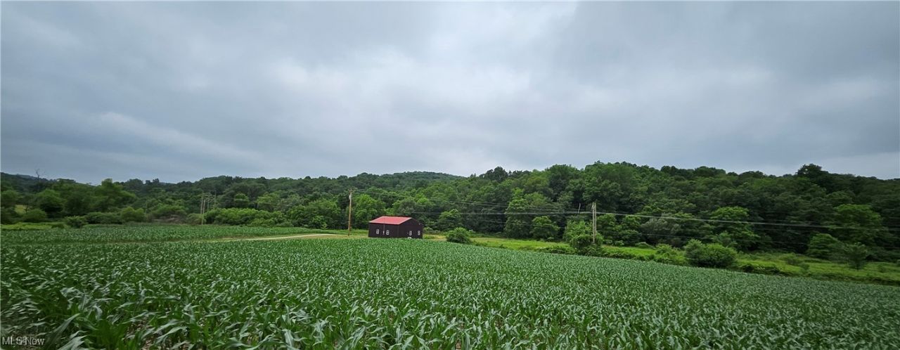 22165 County Road 17, Coshocton, OH 43812 Main Photo