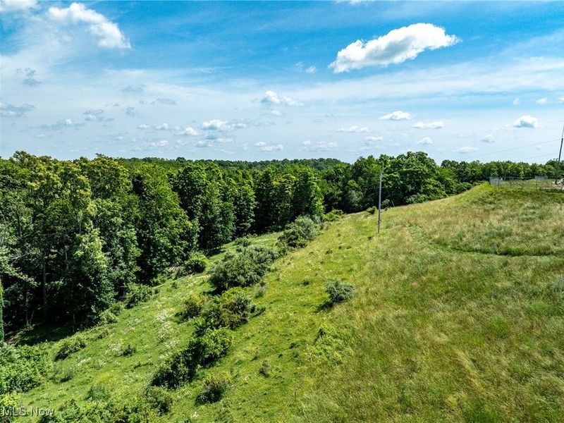 19 acres Saffell Road, Belmont, OH 43718 Photo 12