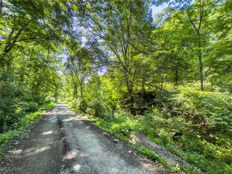 19 acres Saffell Road, Belmont, OH 43718 Photo 13