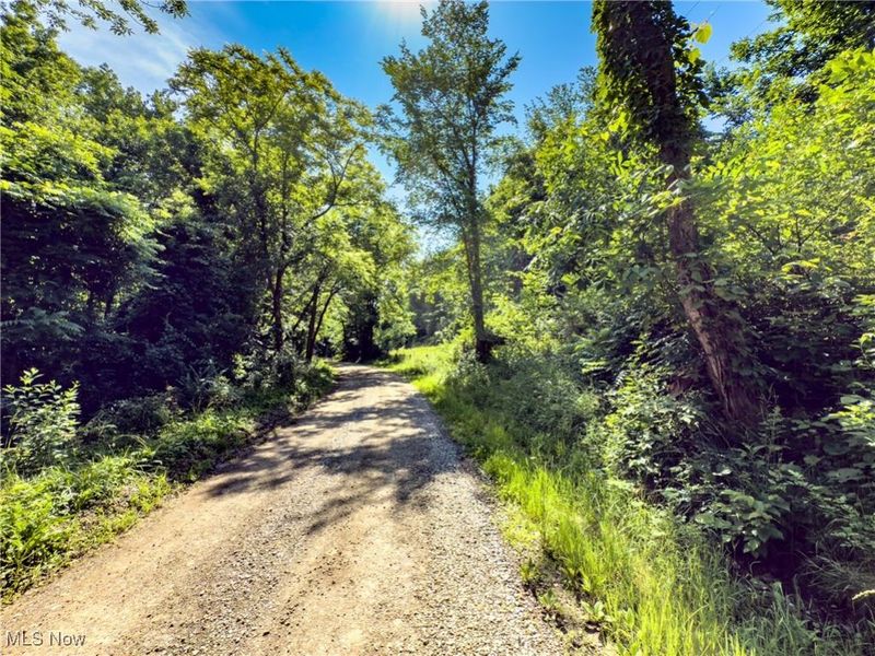 19 acres Saffell Road, Belmont, OH 43718 Photo 14