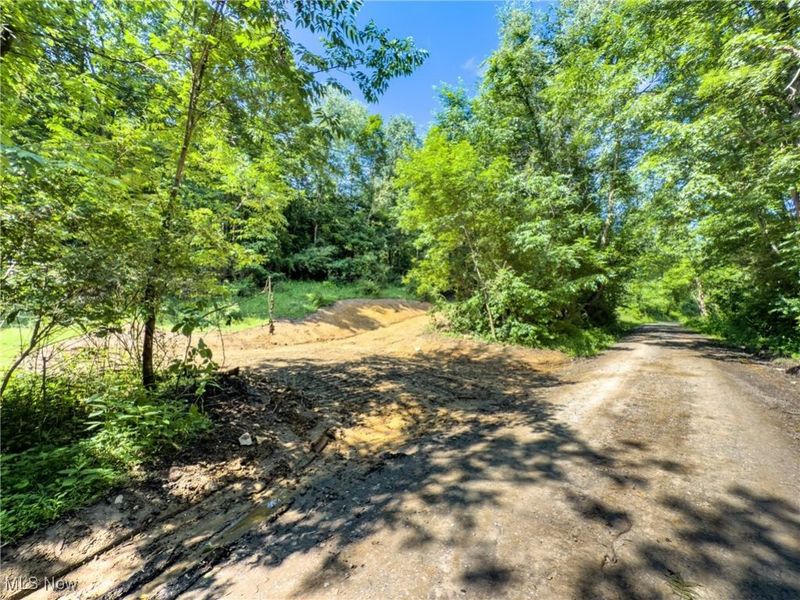 19 acres Saffell Road, Belmont, OH 43718 Photo 16