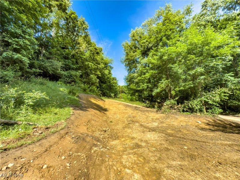 19 acres Saffell Road, Belmont, OH 43718 Photo 22