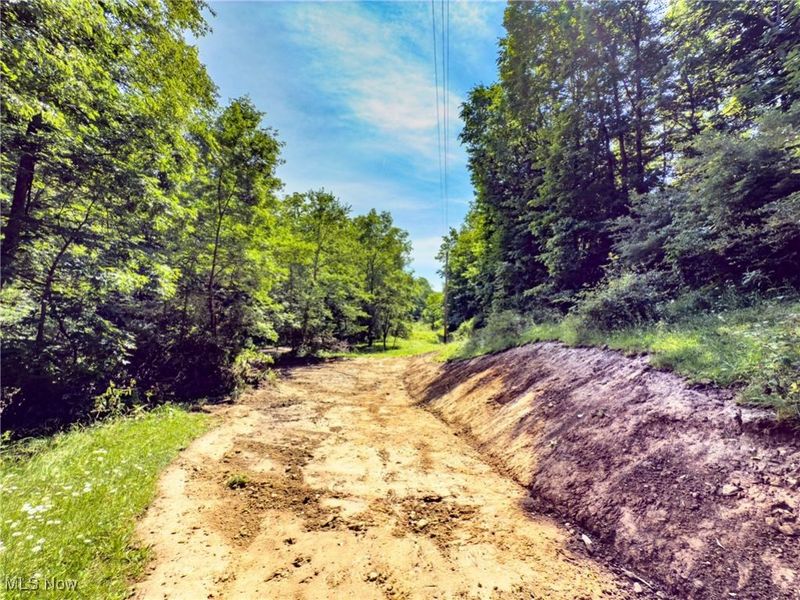 19 acres Saffell Road, Belmont, OH 43718 Photo 24