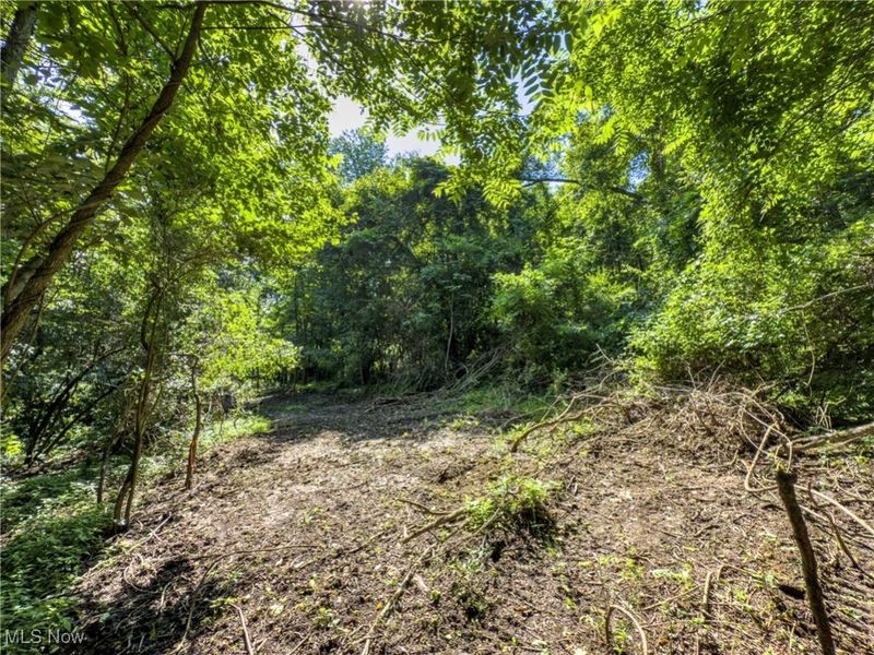 19 acres Saffell Road, Belmont, OH 43718 Photo 26