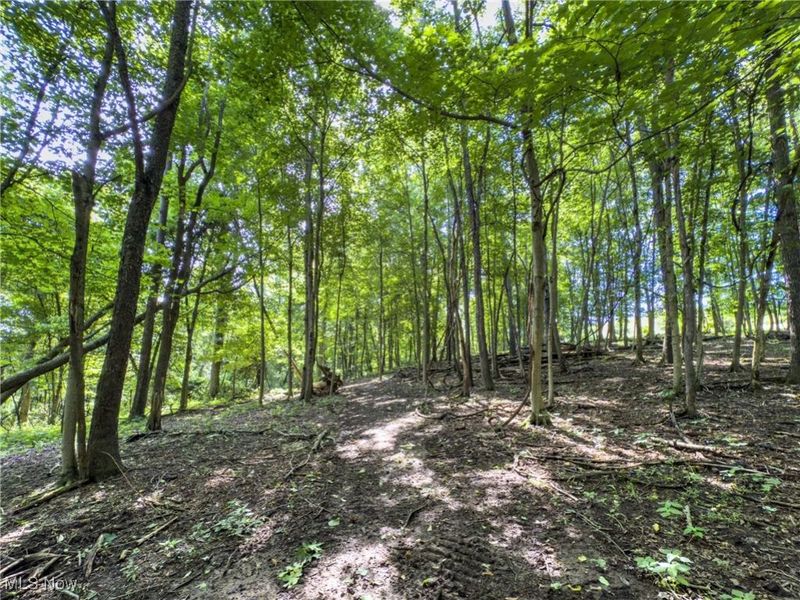 19 acres Saffell Road, Belmont, OH 43718 Photo 29