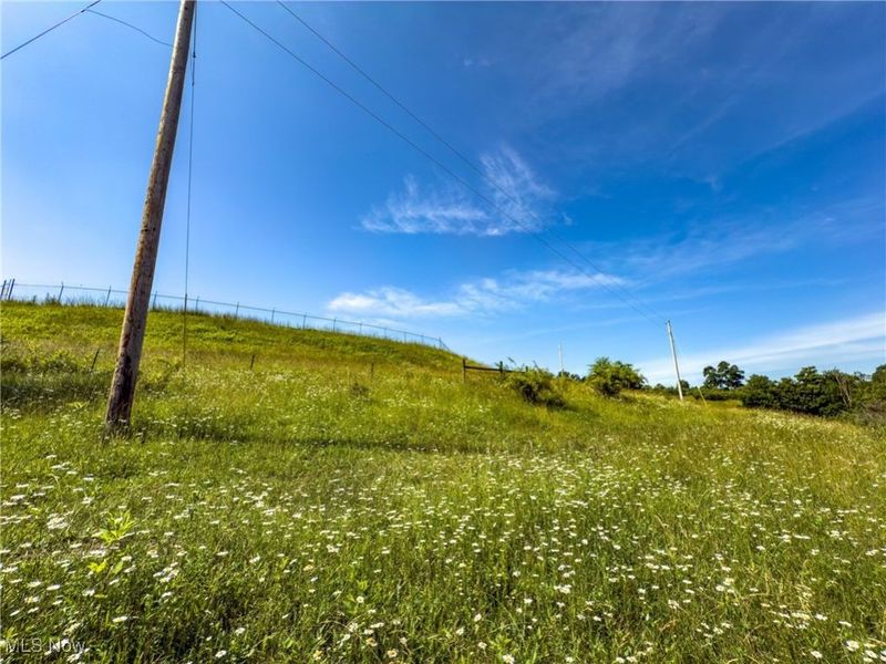 19 acres Saffell Road, Belmont, OH 43718 Photo 33