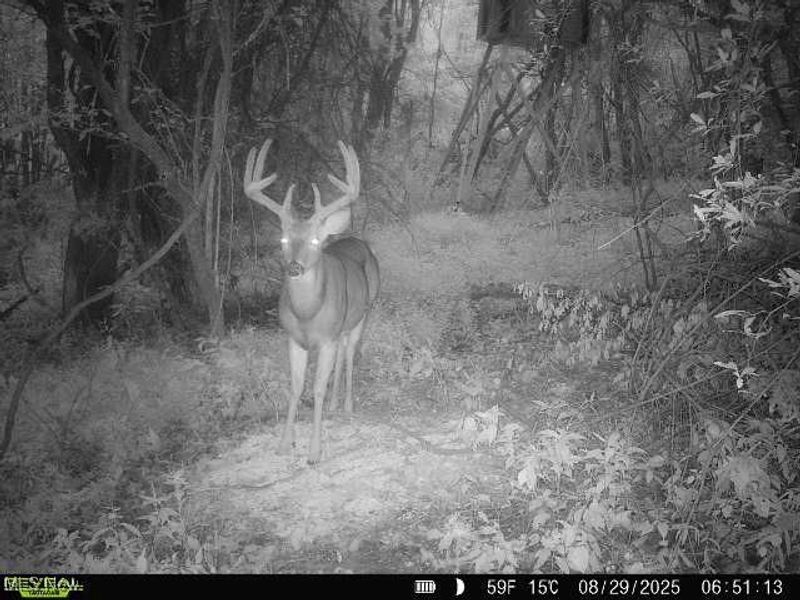 19 acres Saffell Road, Belmont, OH 43718 Photo 42