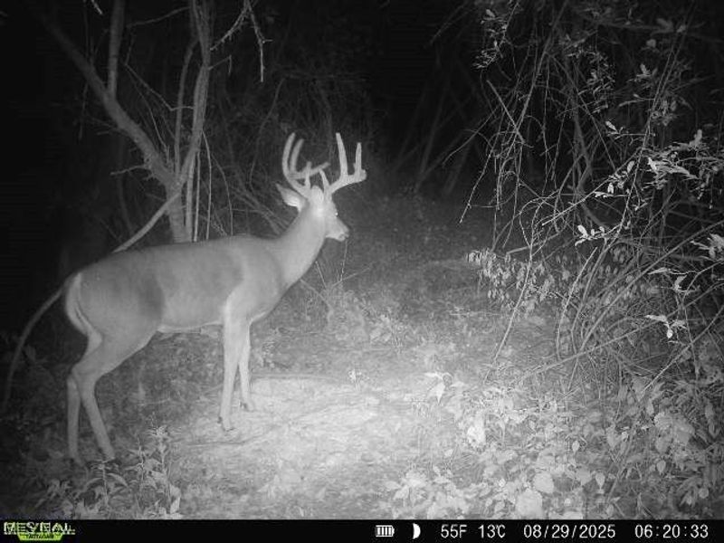 19 acres Saffell Road, Belmont, OH 43718 Photo 46