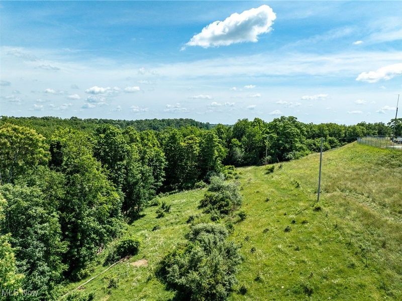 19 acres Saffell Road, Belmont, OH 43718 Photo 9