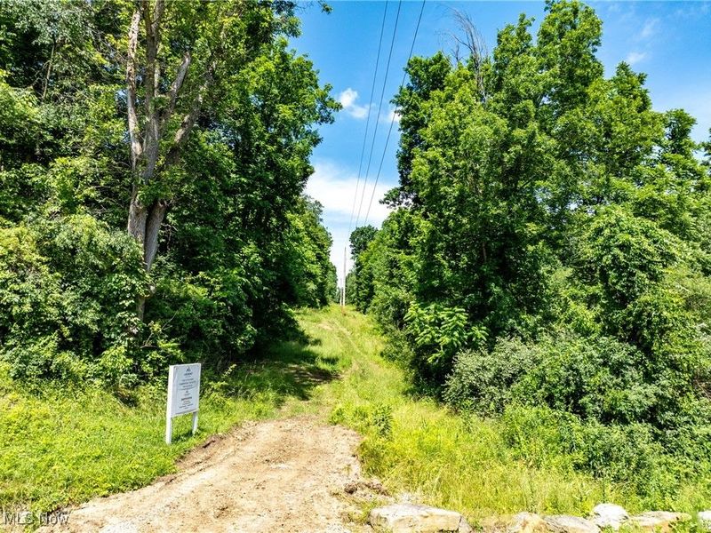 35 acres Saffell Road, Belmont, OH 43718 Photo 10