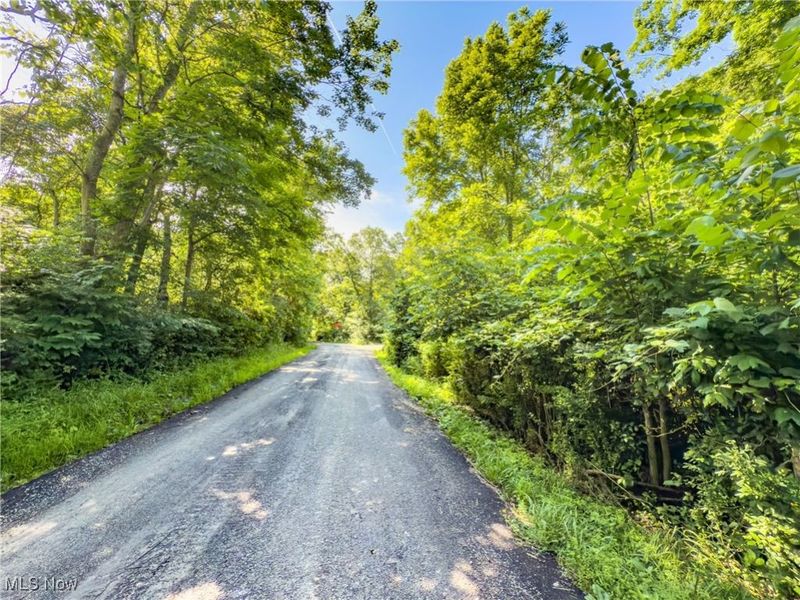 35 acres Saffell Road, Belmont, OH 43718 Photo 12