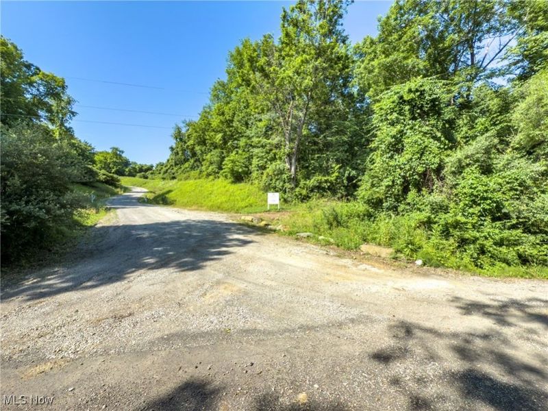 35 acres Saffell Road, Belmont, OH 43718 Photo 14