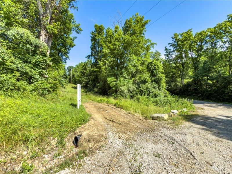 35 acres Saffell Road, Belmont, OH 43718 Photo 16