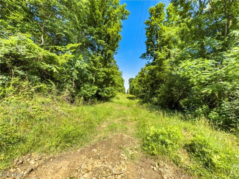 35 acres Saffell Road, Belmont, OH 43718 Photo 17