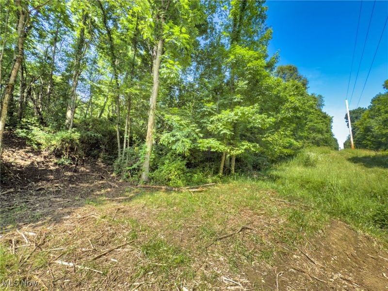 35 acres Saffell Road, Belmont, OH 43718 Photo 18
