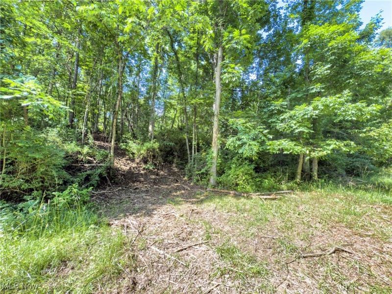 35 acres Saffell Road, Belmont, OH 43718 Photo 19