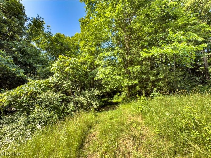 35 acres Saffell Road, Belmont, OH 43718 Photo 20