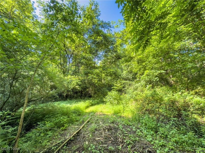 35 acres Saffell Road, Belmont, OH 43718 Photo 21