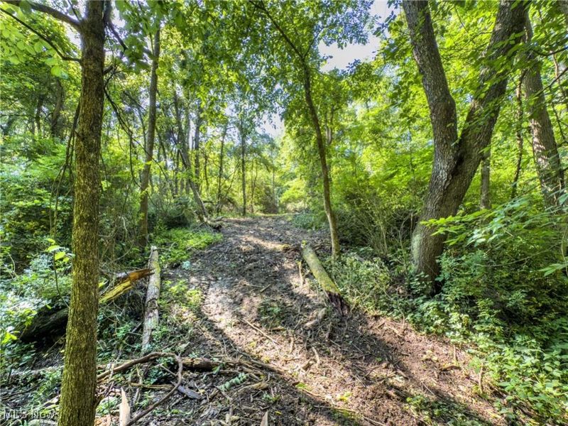 35 acres Saffell Road, Belmont, OH 43718 Photo 24