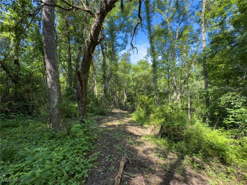 35 acres Saffell Road, Belmont, OH 43718 Photo 25