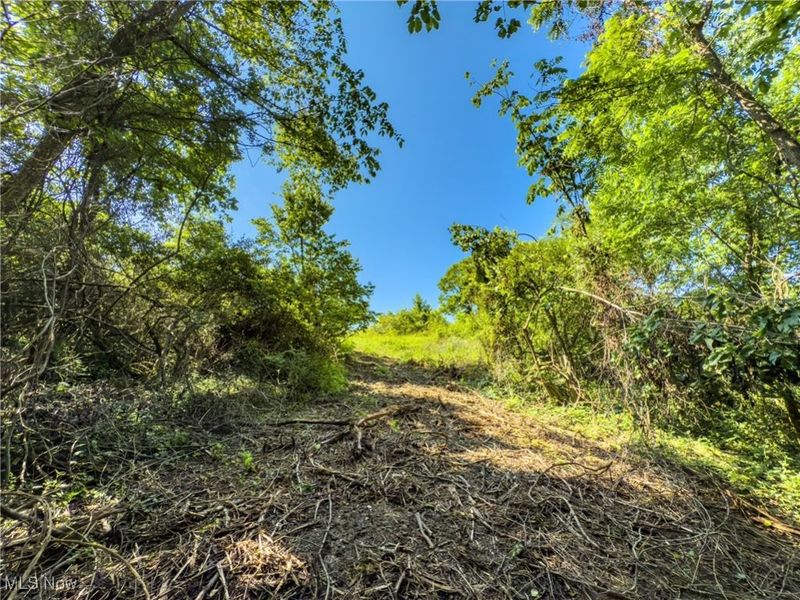 35 acres Saffell Road, Belmont, OH 43718 Photo 26