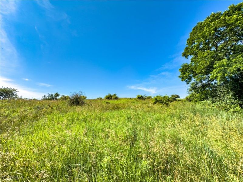 35 acres Saffell Road, Belmont, OH 43718 Photo 27