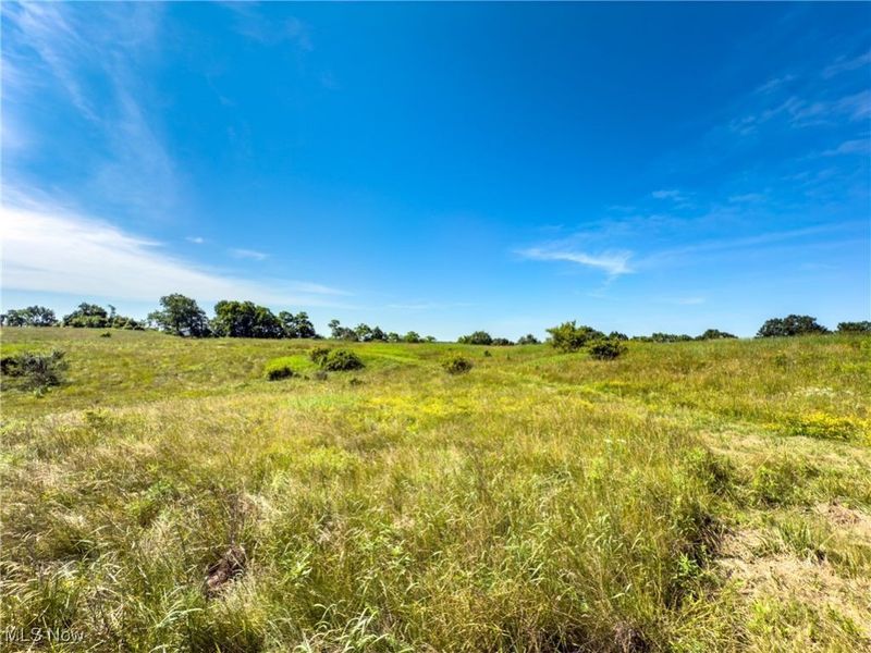 35 acres Saffell Road, Belmont, OH 43718 Photo 28