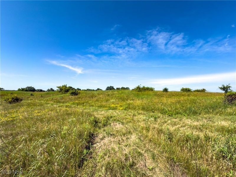 35 acres Saffell Road, Belmont, OH 43718 Photo 29