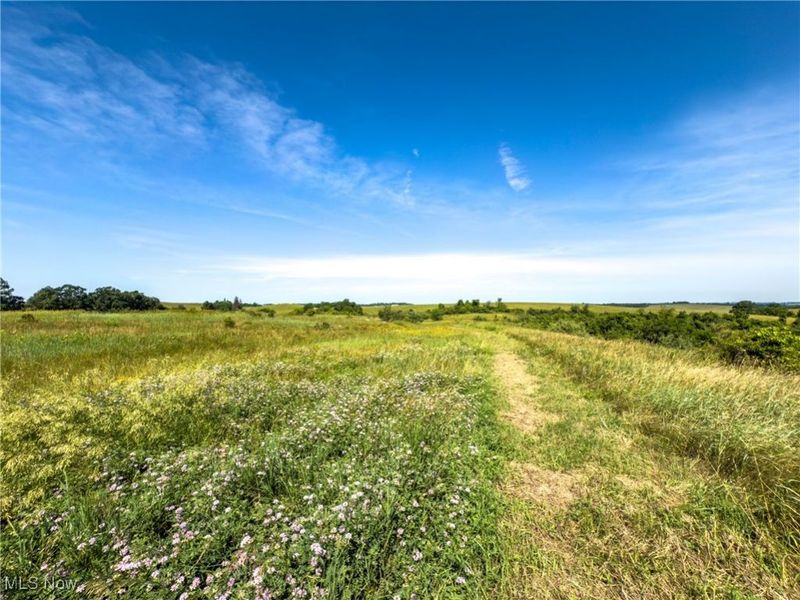 35 acres Saffell Road, Belmont, OH 43718 Photo 30