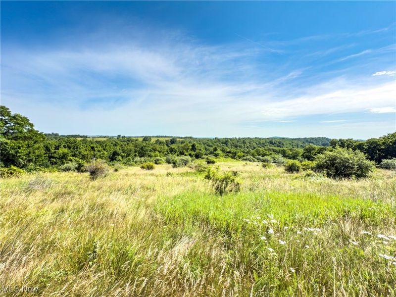 35 acres Saffell Road, Belmont, OH 43718 Photo 32