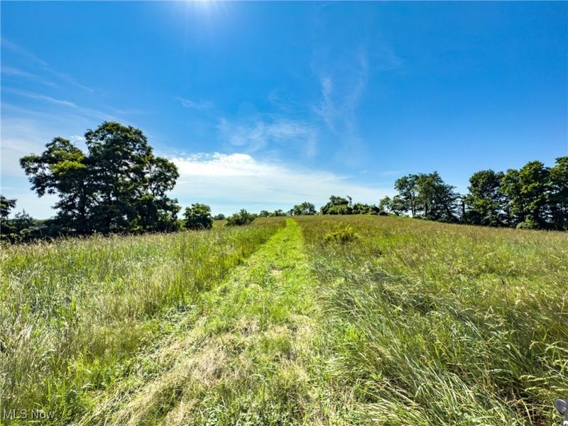 35 acres Saffell Road, Belmont, OH 43718 Photo 33