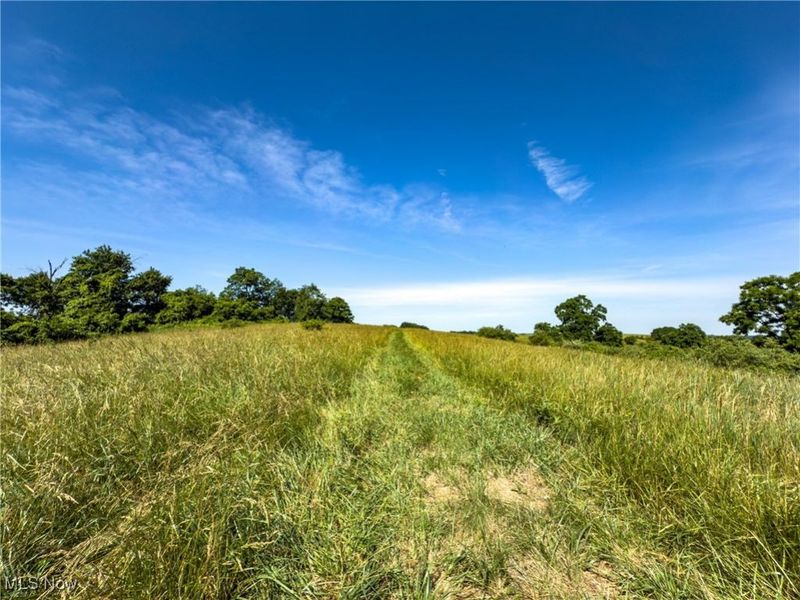 35 acres Saffell Road, Belmont, OH 43718 Photo 34
