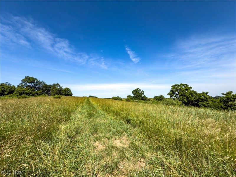 35 acres Saffell Road, Belmont, OH 43718 Photo 35