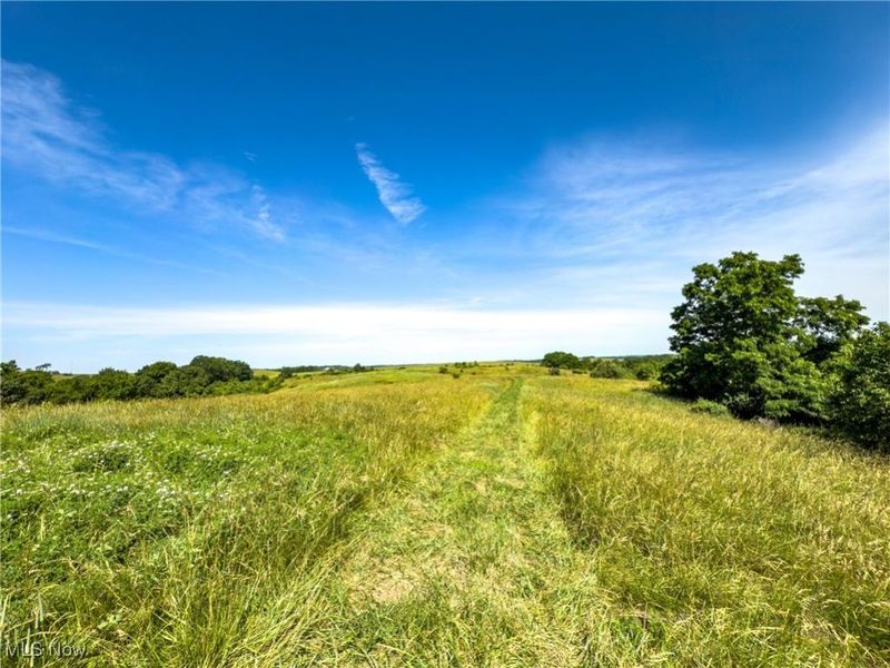 35 acres Saffell Road, Belmont, OH 43718 Photo 36