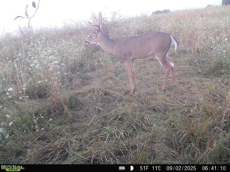 35 acres Saffell Road, Belmont, OH 43718 Photo 40
