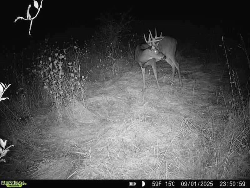 35 acres Saffell Road, Belmont, OH 43718 Photo 45