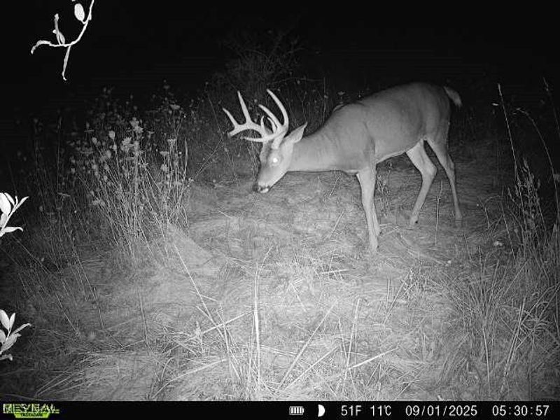 35 acres Saffell Road, Belmont, OH 43718 Photo 48