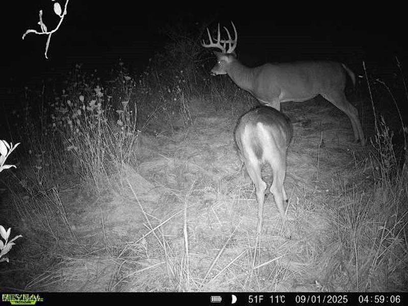 35 acres Saffell Road, Belmont, OH 43718 Photo 50