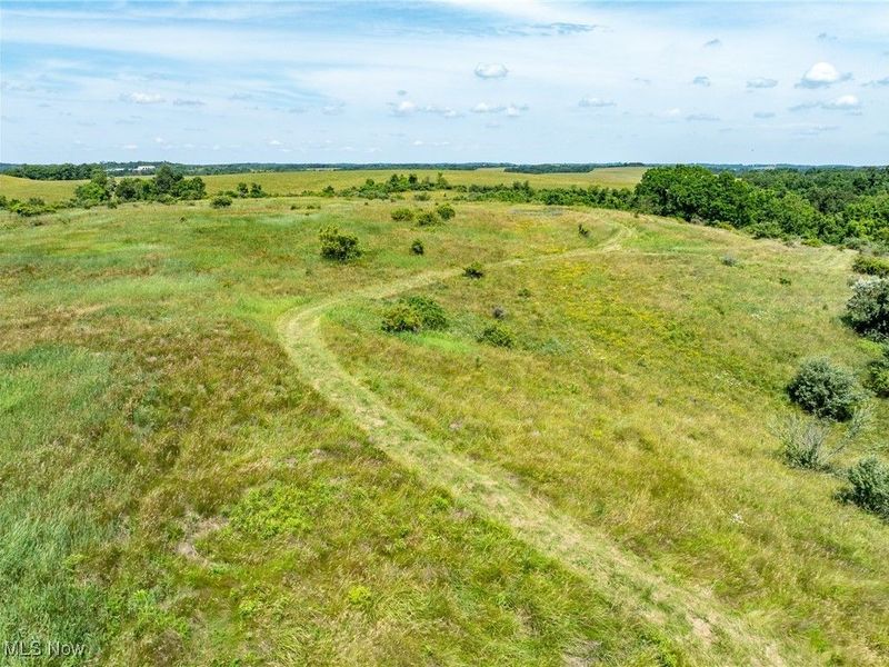 35 acres Saffell Road, Belmont, OH 43718 Photo 6