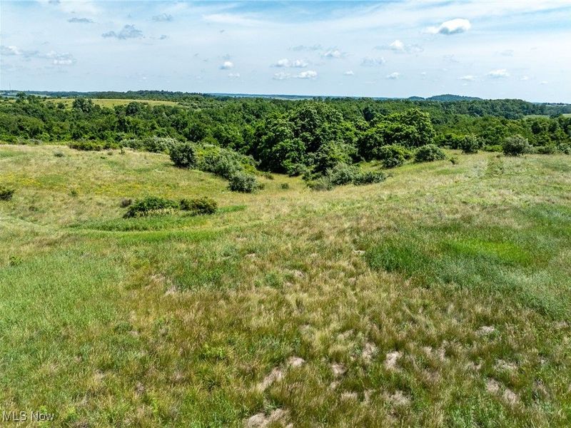 35 acres Saffell Road, Belmont, OH 43718 Photo 7