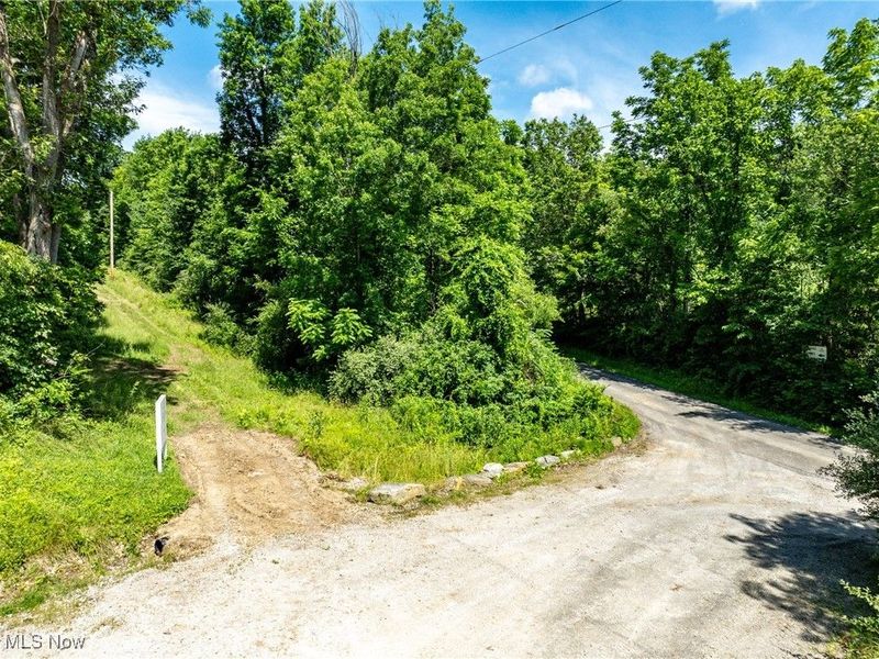 35 acres Saffell Road, Belmont, OH 43718 Photo 8