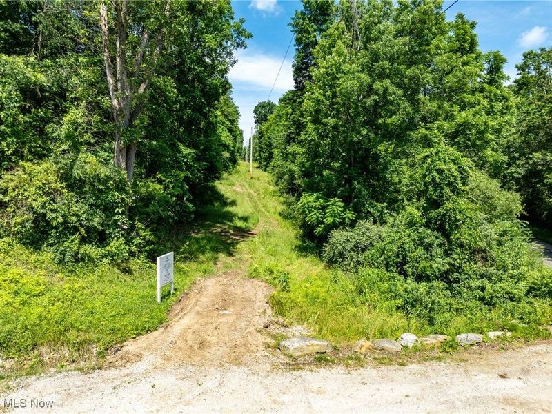 35 acres Saffell Road, Belmont, OH 43718 Photo 9