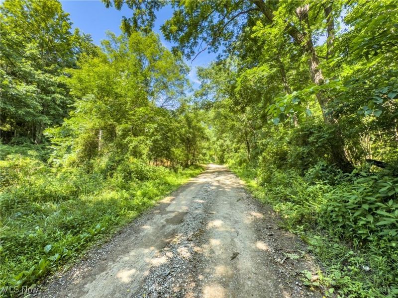 15 acres Saffell Road, Belmont, OH 43718 Photo 15