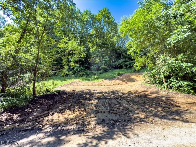 15 acres Saffell Road, Belmont, OH 43718 Photo 17