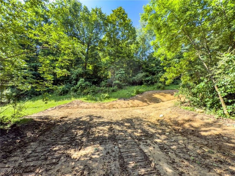 15 acres Saffell Road, Belmont, OH 43718 Photo 18