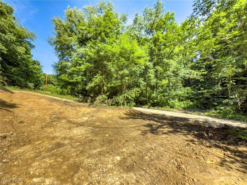 15 acres Saffell Road, Belmont, OH 43718 Photo 20