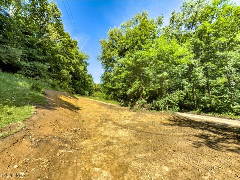 15 acres Saffell Road, Belmont, OH 43718 Photo 21